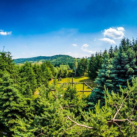 Agroturystyka Kapellanka - Kraina Wygaslych Wulkanow Wojcieszów Exterior foto